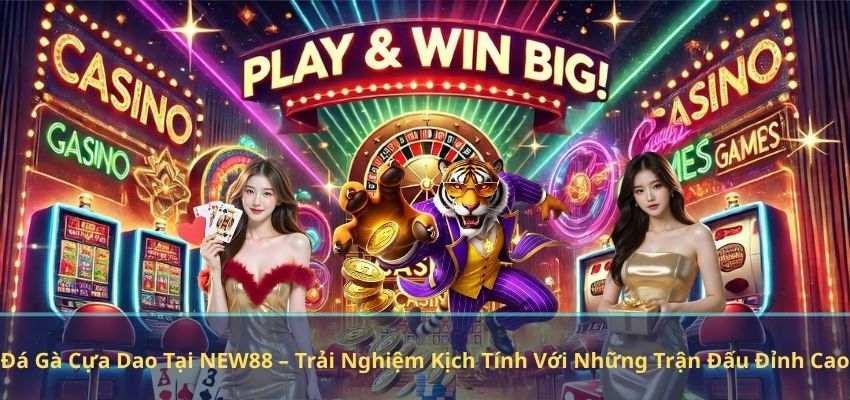 Đá Gà Cựa Dao Tại NEW88 – Trải Nghiệm Kịch Tính Với Những Trận Đấu Đỉnh Cao Đá Gà Cựa Dao Tại NEW88 – Trải Nghiệm Kịch Tính Với Những Trận Đấu Đỉnh Cao